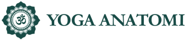Yoga Anatomi